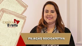 Explica Direito Filiação Socioafetiva  2019 [upl. by Ytok711]