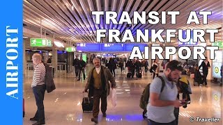 TRANSIT WALK AT FRANKFURT Airport FRA Terminal 1  Connection Flight Transfer Arriving amp Departing [upl. by Hoeve33]